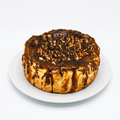 Turtle Inspired Cheesecake
